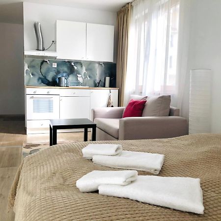 Temerso Studio-Apartment バンスコ エクステリア 写真