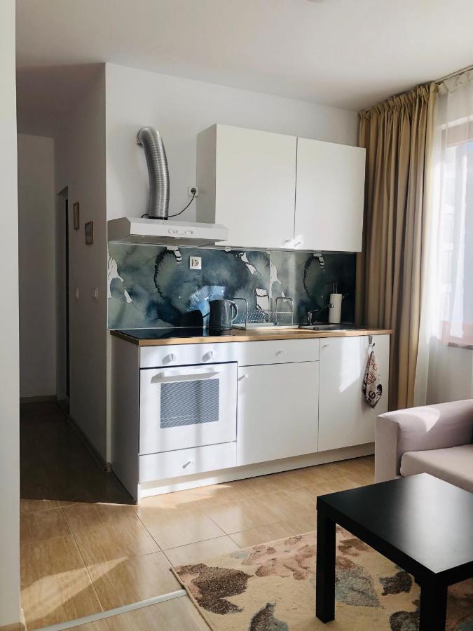 Temerso Studio-Apartment バンスコ エクステリア 写真